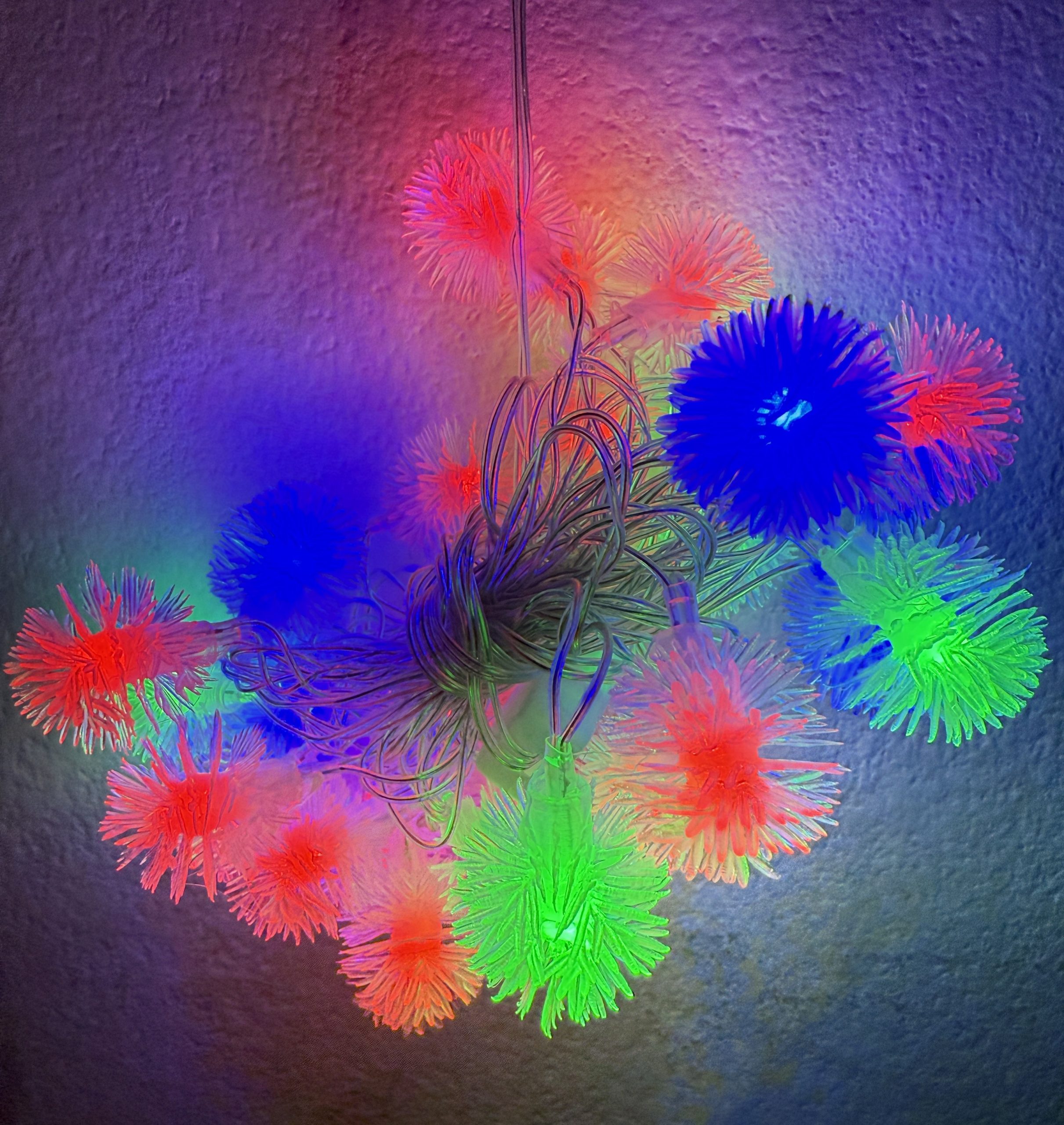 Multi-Colors Kadamba with Plug