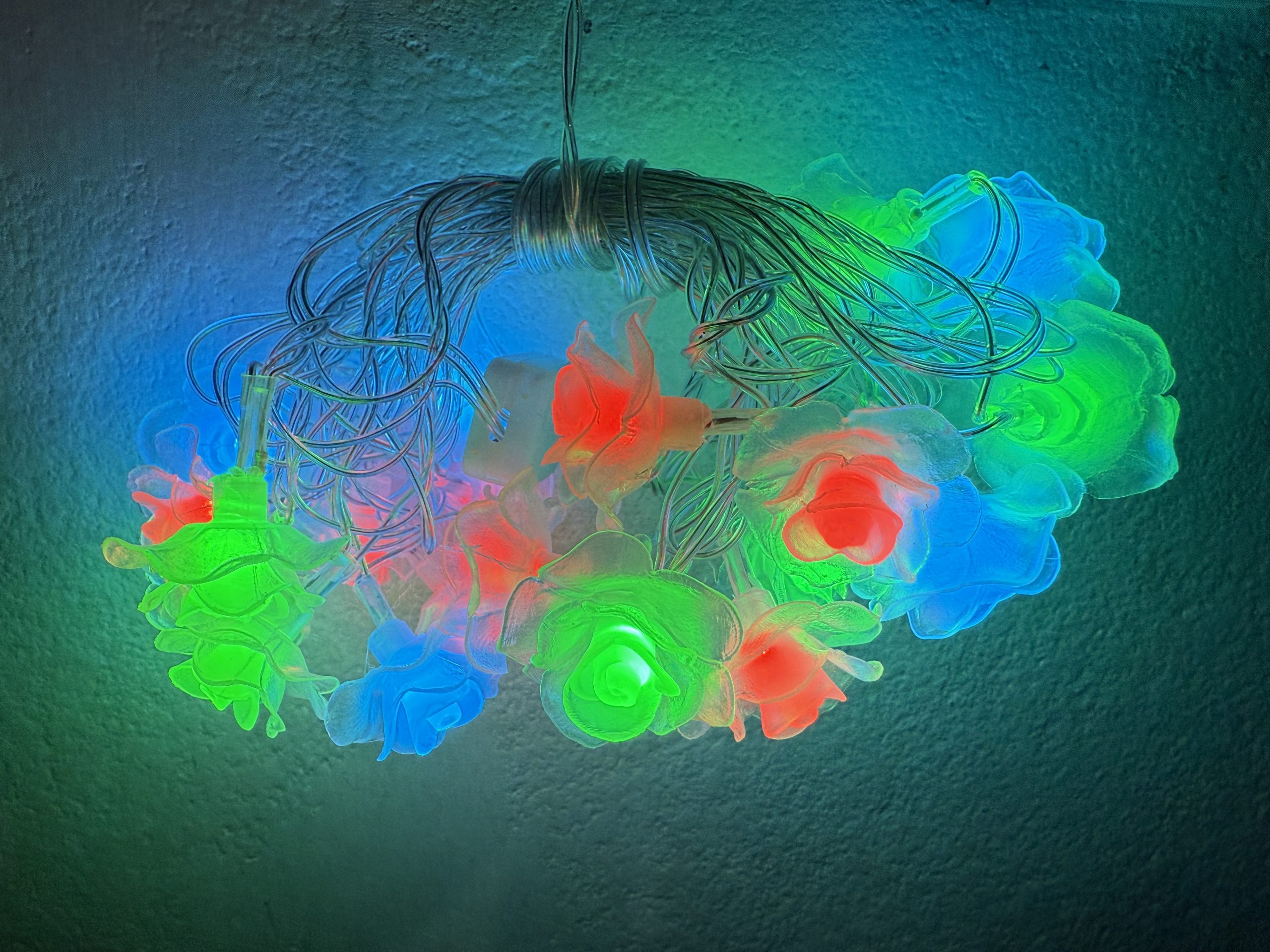 Multi-Colors Rose with Plug